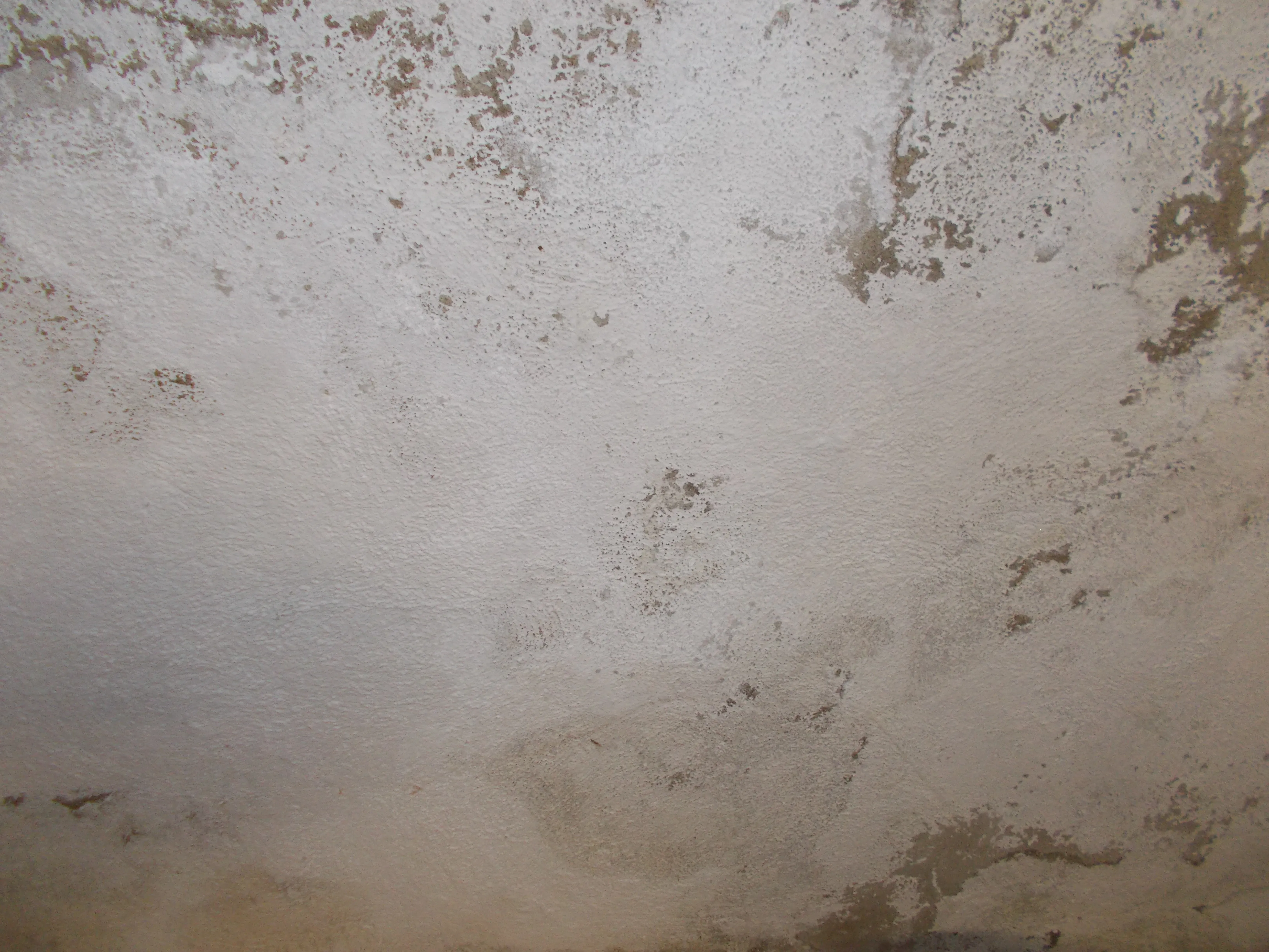 Feuchtigkeitsschäden und Schimmel an einer Wand